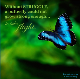 Screen Shot 2017-08-24 at 5.44.27 PM.png